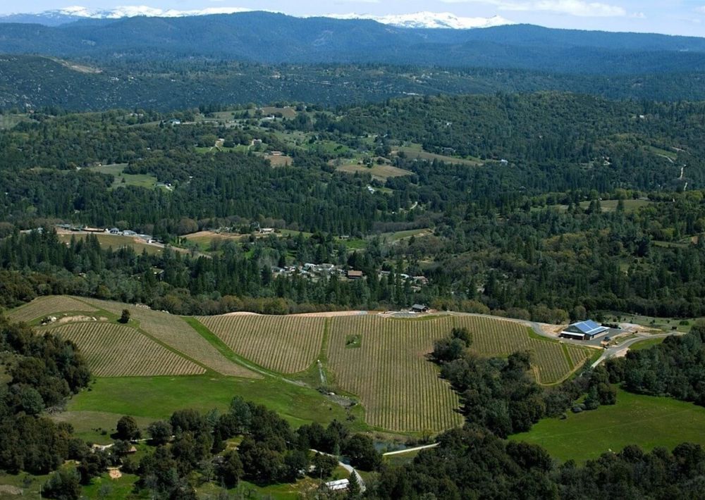 El Dorado County Real Estate - Yogi & Yoli Palenko, Broker / Owner / Realtor